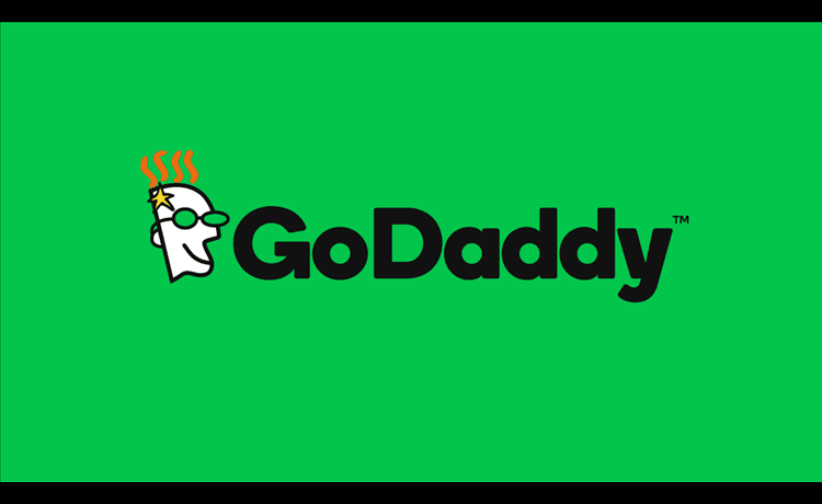 Connecting an EC2 instance with a GoDaddy Domain